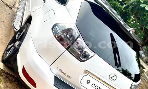 Buy New Lexus RX 330 White Car in Cotonou in Benign Buy New Lexus RX 330 White Car in Cotonou in Benign