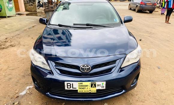 Buy New Toyota Corolla Blue Car in Cotonou in Benign