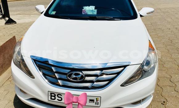Acheter Neuf Voiture Hyundai Sonata Blanc à Cotonou, Benin