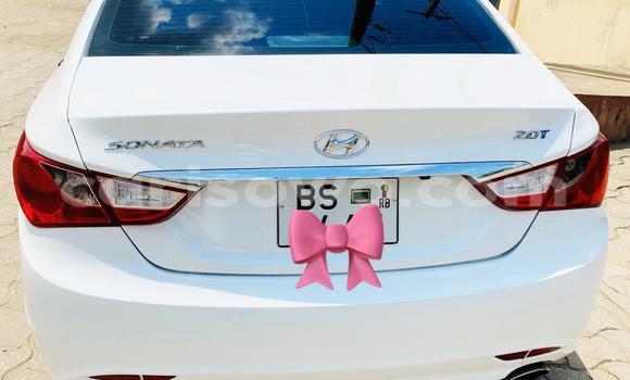 Acheter Neuf Voiture Hyundai Sonata Blanc à Cotonou, Benin Acheter Neuf Voiture Hyundai Sonata Blanc à Cotonou, Benin
