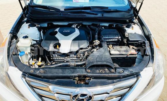 Acheter Neuf Voiture Hyundai Sonata Blanc à Cotonou, Benin Acheter Neuf Voiture Hyundai Sonata Blanc à Cotonou, Benin