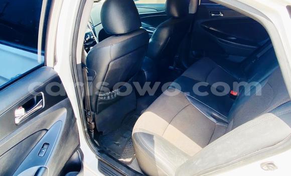 Acheter Neuf Voiture Hyundai Sonata Blanc à Cotonou, Benin Acheter Neuf Voiture Hyundai Sonata Blanc à Cotonou, Benin