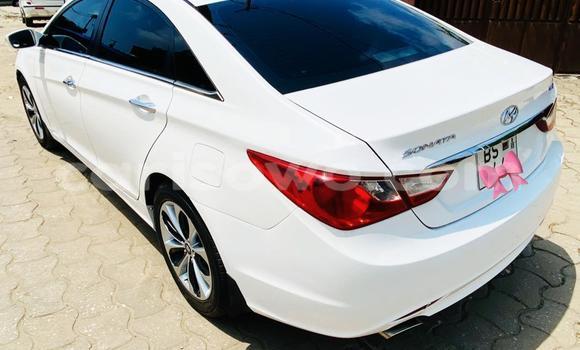 Acheter Neuf Voiture Hyundai Sonata Blanc à Cotonou, Benin Acheter Neuf Voiture Hyundai Sonata Blanc à Cotonou, Benin