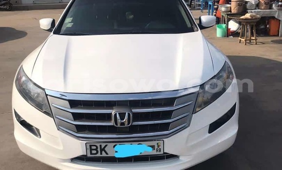 Ra Àlòkù Honda Crosstour funfun Ọkọ̀ in Cotonou ni Benin