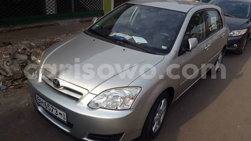 Big with watermark 2016 12 31 04 04 12 20161228 150003 800 640 0