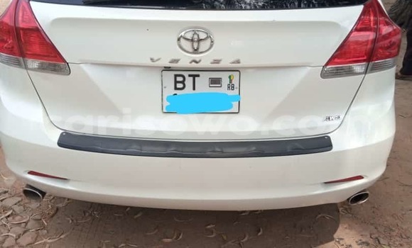 Buy New Toyota Venza White Car in Cotonou in Benign