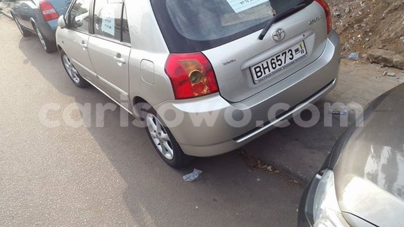 Big with watermark 15940735 1705691006408097 7251934696248635930 n