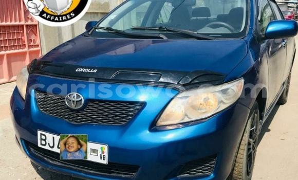 Acheter Occasion Voiture Toyota Corolla Bleu à Cotonou, Benin Acheter Occasion Voiture Toyota Corolla Bleu à Cotonou, Benin