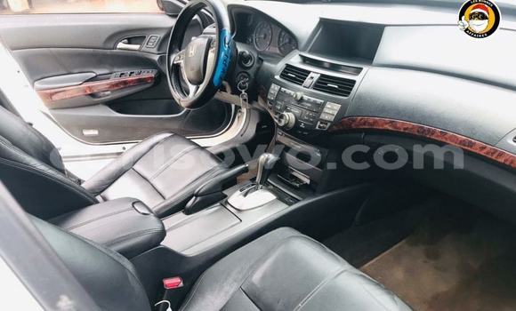 Acheter Occasion Voiture Honda Crosstour Blanc à Cotonou, Benin Acheter Occasion Voiture Honda Crosstour Blanc à Cotonou, Benin