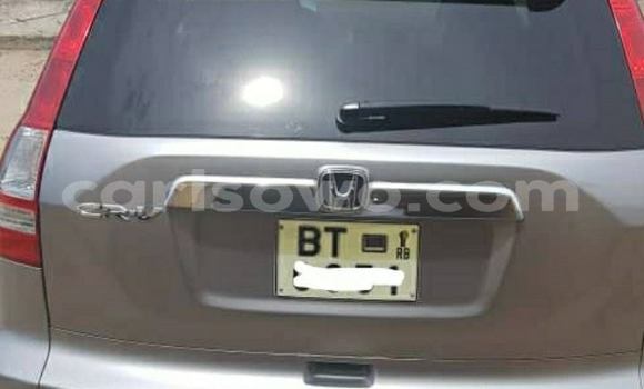 Acheter Occasion Voiture Honda CR–V Gris à Cotonou, Benin Acheter Occasion Voiture Honda CR–V Gris à Cotonou, Benin