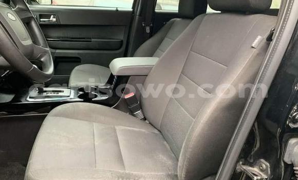 Buy Used Ford Escape Black Car in Abomey in Benign Buy Used Ford Escape Black Car in Abomey in Benign