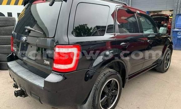 Buy Used Ford Escape Black Car in Abomey in Benign Buy Used Ford Escape Black Car in Abomey in Benign
