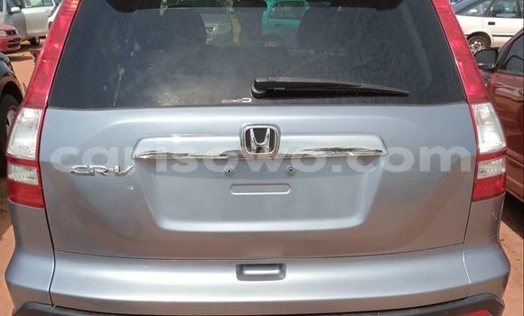 Buy Used Honda CR–V Blue Car in Abomey in Benign Buy Used Honda CR–V Blue Car in Abomey in Benign