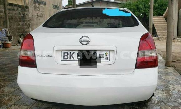 Acheter Occasion Voiture Nissan Primera Gris à Cotonou, Benin Acheter Occasion Voiture Nissan Primera Gris à Cotonou, Benin