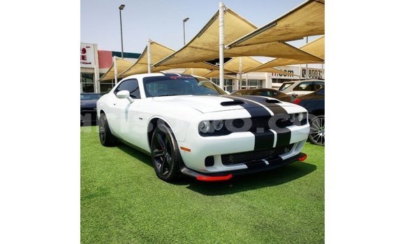 Sayi Imported Dodge Challenger White Mota in Import - Dubai a Benin