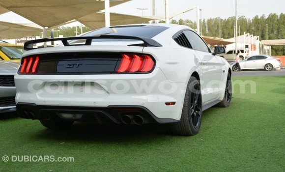 Acheter Import Voiture Ford Mustang Blanc à Import - Dubai, Benin Acheter Import Voiture Ford Mustang Blanc à Import - Dubai, Benin
