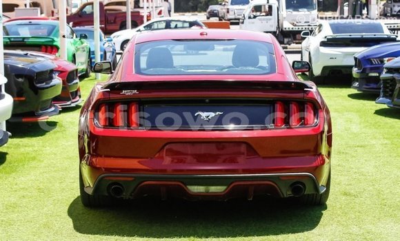 Acheter Import Voiture Ford Mustang Rouge à Import - Dubai, Benin Acheter Import Voiture Ford Mustang Rouge à Import - Dubai, Benin