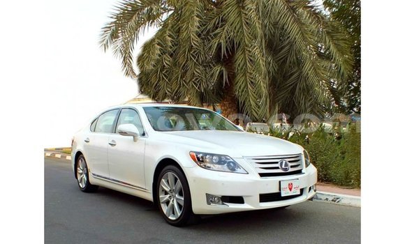 Buy Import Lexus LS White Car in Import - Dubai in Benign