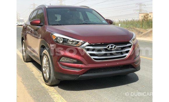 Buy Import Hyundai Tucson Red Car in Import - Dubai in Benign Buy Import Hyundai Tucson Red Car in Import - Dubai in Benign