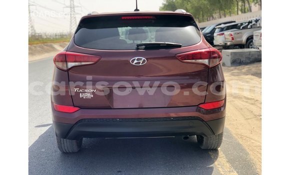 Buy Import Hyundai Tucson Red Car in Import - Dubai in Benign Buy Import Hyundai Tucson Red Car in Import - Dubai in Benign