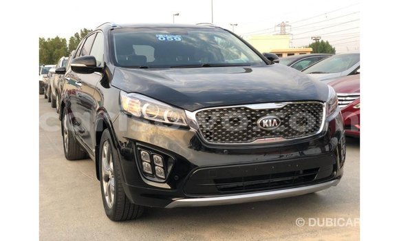 Buy Import Kia Sorento Black Car in Import - Dubai in Benign Buy Import Kia Sorento Black Car in Import - Dubai in Benign