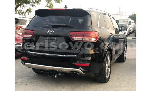 Buy Import Kia Sorento Black Car in Import - Dubai in Benign Buy Import Kia Sorento Black Car in Import - Dubai in Benign