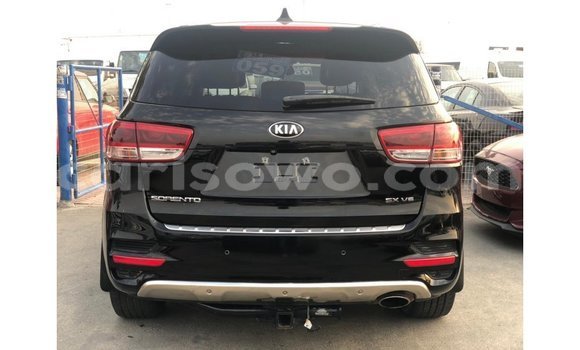 Buy Import Kia Sorento Black Car in Import - Dubai in Benign Buy Import Kia Sorento Black Car in Import - Dubai in Benign