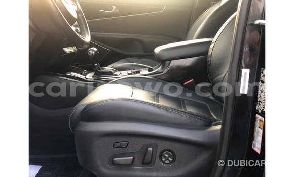 Buy Import Kia Sorento Black Car in Import - Dubai in Benign Buy Import Kia Sorento Black Car in Import - Dubai in Benign