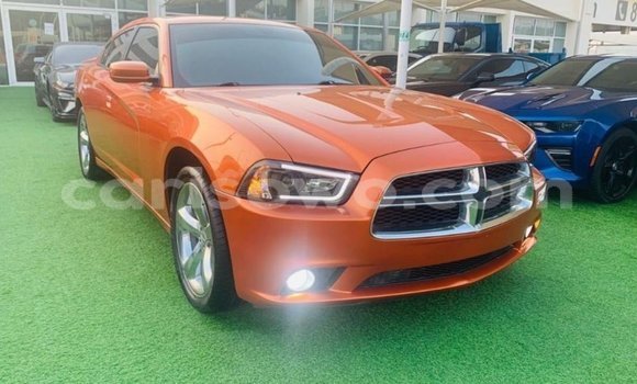 Sayi Imported Dodge Charger Sauran Mota in Import - Dubai a Benin