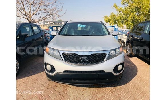Buy Import Kia Sorento Other Car in Import - Dubai in Benign Buy Import Kia Sorento Other Car in Import - Dubai in Benign