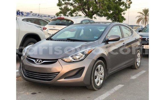 Buy Import Hyundai Elantra Brown Car in Import - Dubai in Benign Buy Import Hyundai Elantra Brown Car in Import - Dubai in Benign