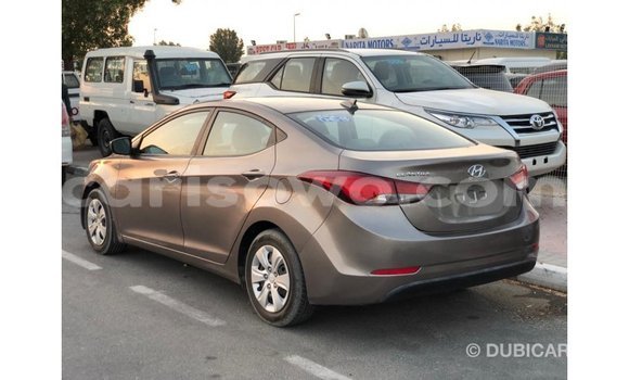 Buy Import Hyundai Elantra Brown Car in Import - Dubai in Benign Buy Import Hyundai Elantra Brown Car in Import - Dubai in Benign
