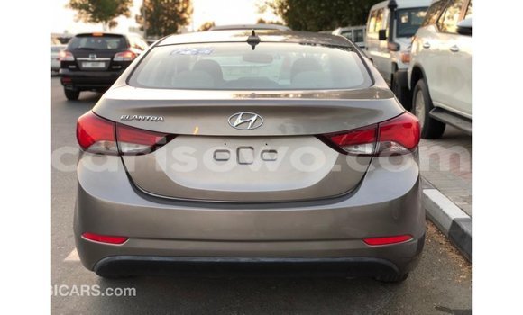 Buy Import Hyundai Elantra Brown Car in Import - Dubai in Benign Buy Import Hyundai Elantra Brown Car in Import - Dubai in Benign
