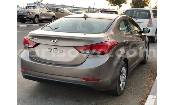 Buy Import Hyundai Elantra Brown Car in Import - Dubai in Benign Buy Import Hyundai Elantra Brown Car in Import - Dubai in Benign