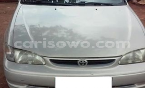 Buy Used Toyota Corolla Silver Car in Comé in Benign Buy Used Toyota Corolla Silver Car in Comé in Benign