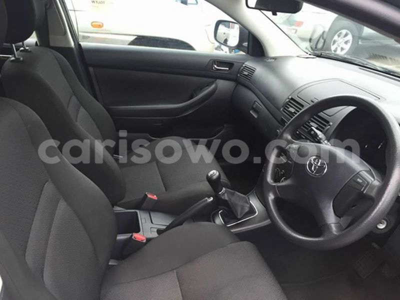 Big with watermark 16298494 1556577997703333 5880869471342312895 n