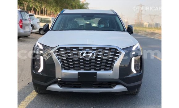 Buy Import Hyundai Chorus Other Truck in Import - Dubai in Benign Buy Import Hyundai Chorus Other Truck in Import - Dubai in Benign