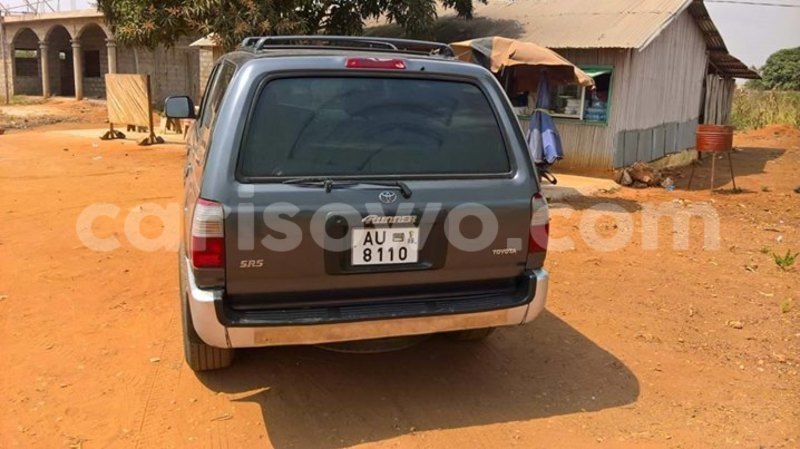 Big with watermark 16298494 1556577997703333 5880869471342312895 n