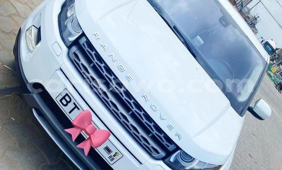 Buy New Land Rover Range Rover Evoque White Car in Cotonou in Benign