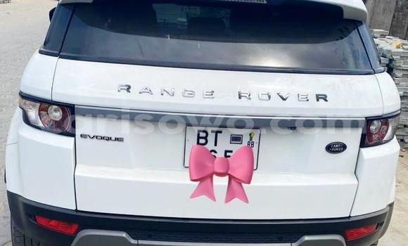Acheter Neuf Voiture Land Rover Range Rover Evoque Blanc à Cotonou, Benin Acheter Neuf Voiture Land Rover Range Rover Evoque Blanc à Cotonou, Benin