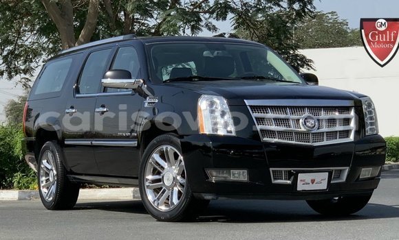 Acheter Import Voiture Cadillac Escalade Noir à Import - Dubai, Benin