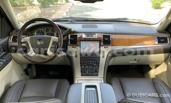 Buy Import Cadillac Escalade Black Car in Import - Dubai in Benign Buy Import Cadillac Escalade Black Car in Import - Dubai in Benign