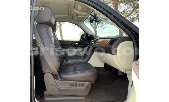 Buy Import Cadillac Escalade Black Car in Import - Dubai in Benign Buy Import Cadillac Escalade Black Car in Import - Dubai in Benign