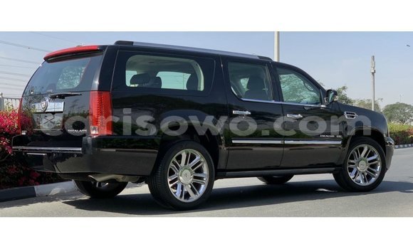 Buy Import Cadillac Escalade Black Car in Import - Dubai in Benign Buy Import Cadillac Escalade Black Car in Import - Dubai in Benign