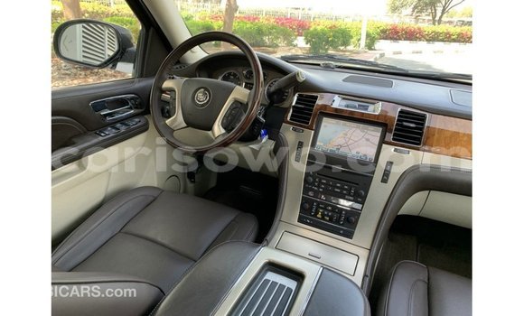 Buy Import Cadillac Escalade Black Car in Import - Dubai in Benign Buy Import Cadillac Escalade Black Car in Import - Dubai in Benign