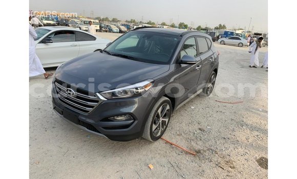 Buy Import Hyundai Tucson Other Car in Import - Dubai in Benign Buy Import Hyundai Tucson Other Car in Import - Dubai in Benign