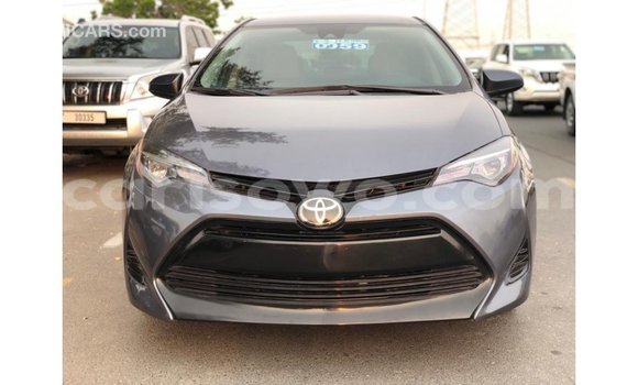 Buy Import Toyota Corolla Other Car in Import - Dubai in Benign Buy Import Toyota Corolla Other Car in Import - Dubai in Benign
