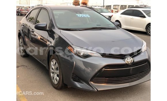 Buy Import Toyota Corolla Other Car in Import - Dubai in Benign Buy Import Toyota Corolla Other Car in Import - Dubai in Benign