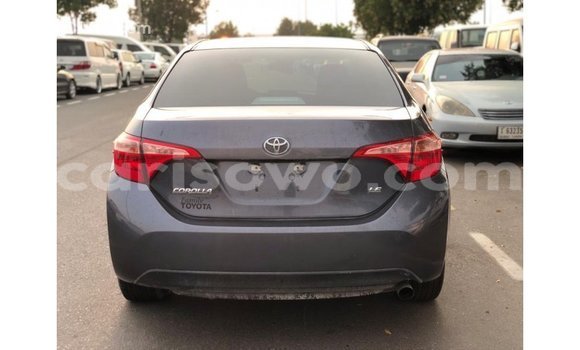 Buy Import Toyota Corolla Other Car in Import - Dubai in Benign Buy Import Toyota Corolla Other Car in Import - Dubai in Benign