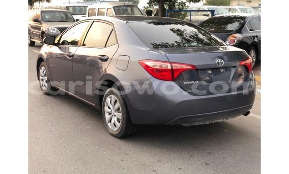 Buy Import Toyota Corolla Other Car in Import - Dubai in Benign Buy Import Toyota Corolla Other Car in Import - Dubai in Benign